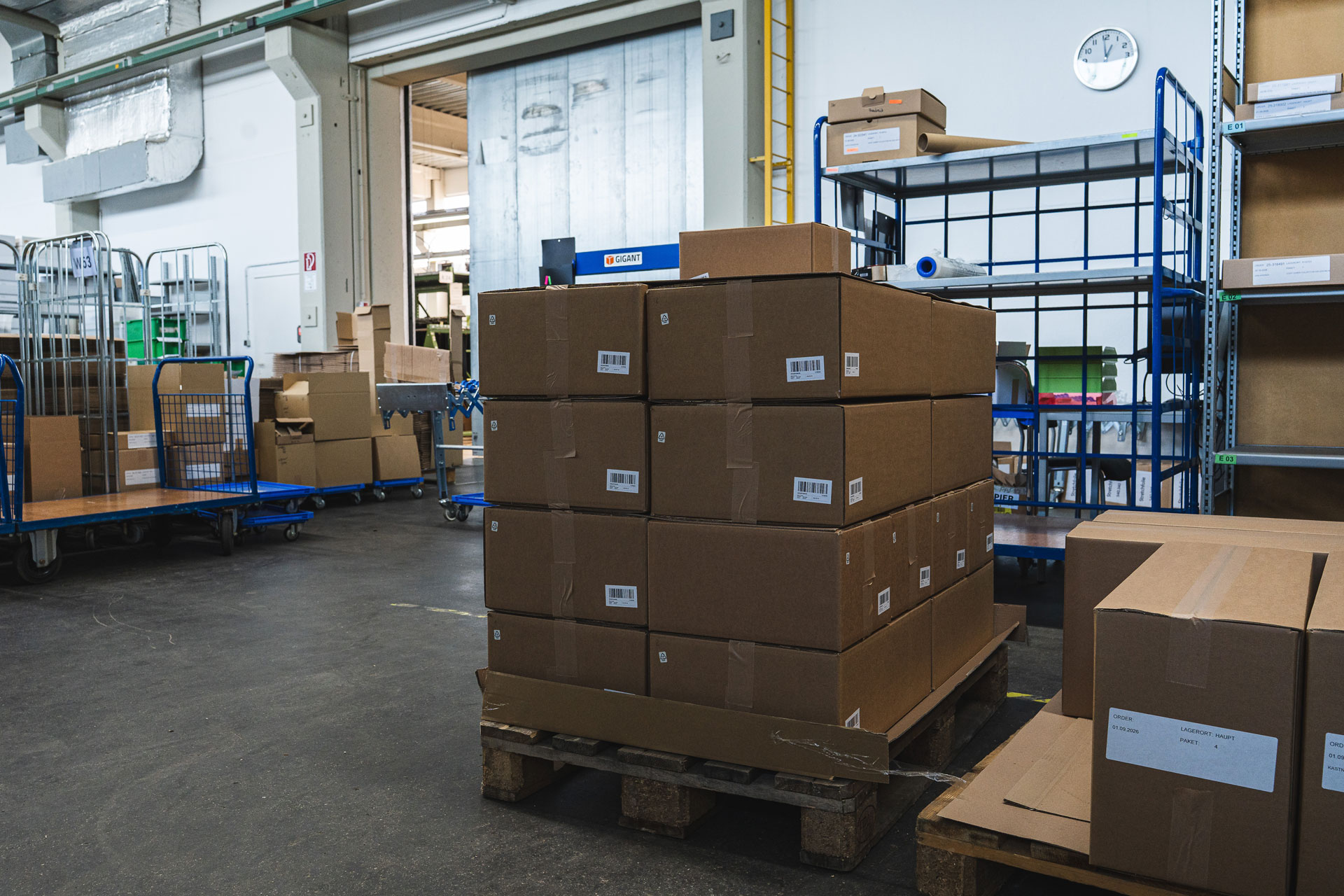 Condor Gürtel Gesellschaft mbH - Verpackung und Versand